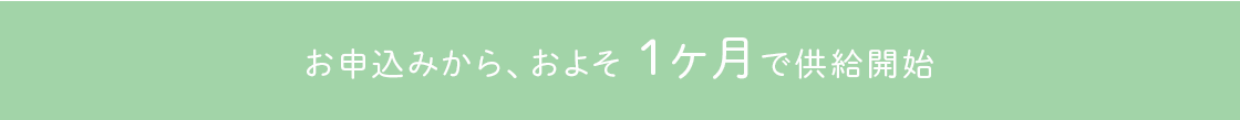 お申込みから1ヵ月半～2ヵ月で供給開始