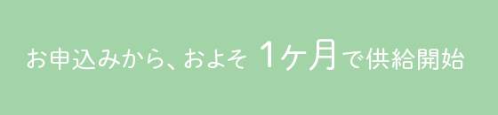 お申込みから1ヵ月半～2ヵ月で供給開始